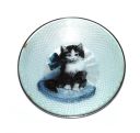catdish1.jpg