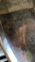 Filename=8B1A2601-BBA6-4395-A3DA-A04F58E7E22D.png
Filesize=341KiB
Dimensions=180x320
Date added=Apr 20, 2019 8B1A2601-BBA6-4395-A3DA-A04F58E7E22D.png